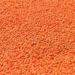 Red Lentils- Canada